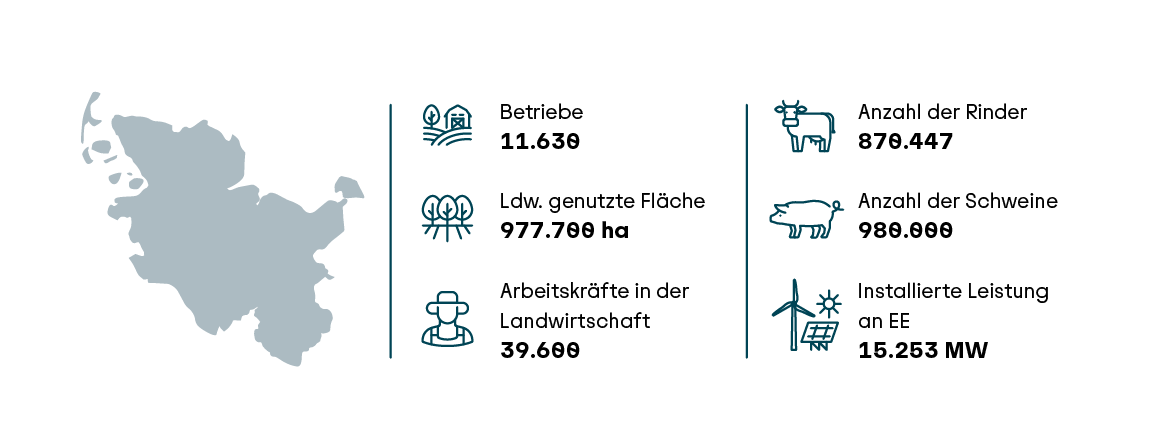 Steckbrief Schleswig-Holstein
