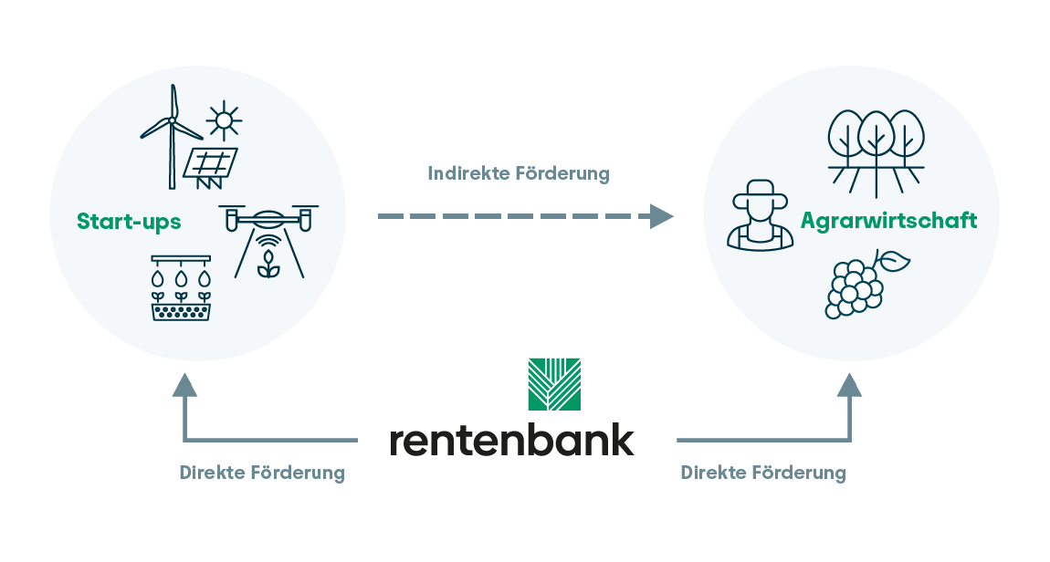 Direkte und indirekte Förderung der Agrarwirtschaft durch Nachrangdarlehen