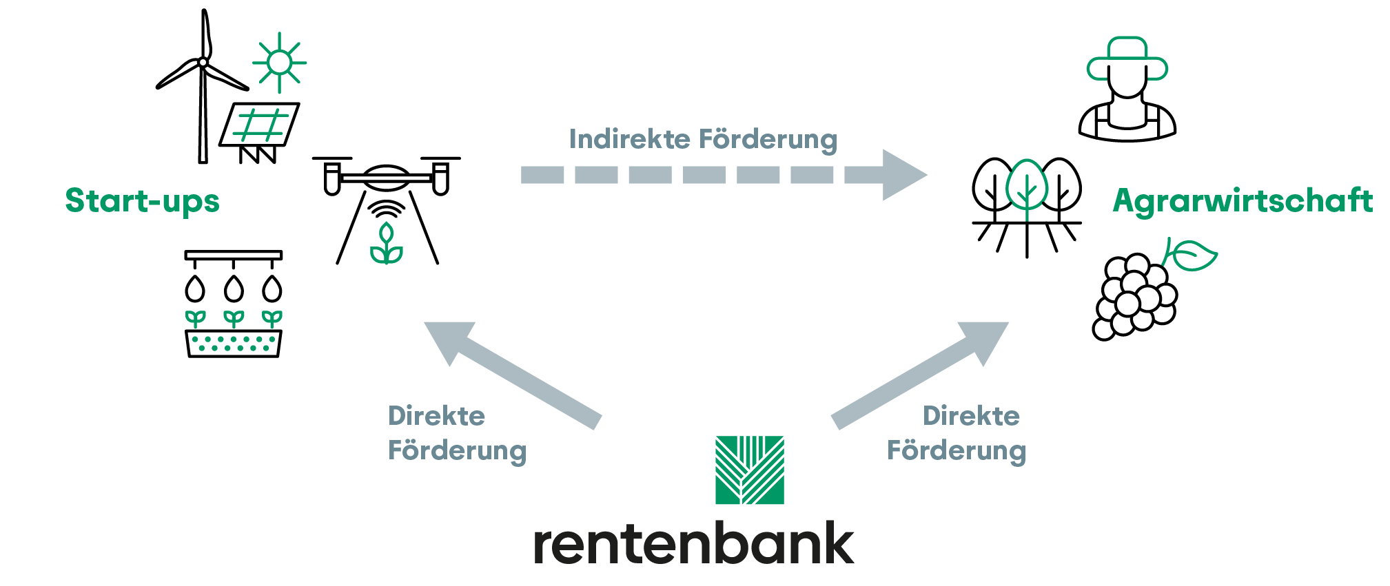 Dreieck aus Rentenbank, Start-ups und Agrarwirtschaft. Verdeutlicht die direkte Förderung von Start-ups und Agrarwirtschaft durch die Rentenbank und die indirekte Förderung der Agrarwirtschaft durch Start-ups.