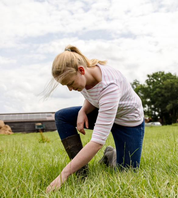Landwirtin Vanessa Schneider kniet prüfend im Gras ihrer Weide.