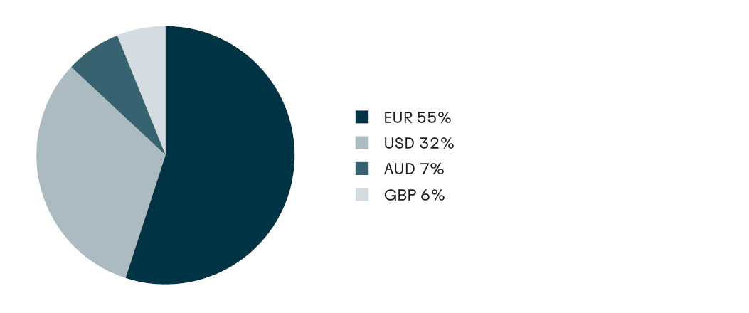 Pie chart of medium and long-term emissions 2024 by currency: Euro 55%, US dollar 32%, Australian dollar 7%, British pound 6%.